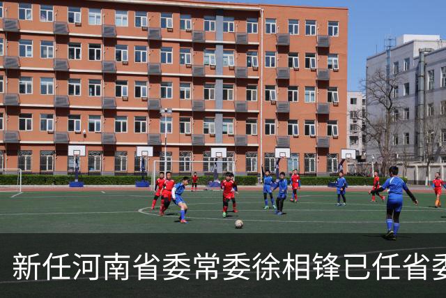 新任河南省委常委徐相锋已任省委统战部部长