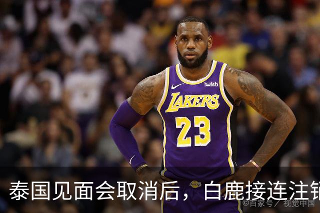 泰国见面会取消后，白鹿接连注销名下三家公司，网友：果然有猫腻