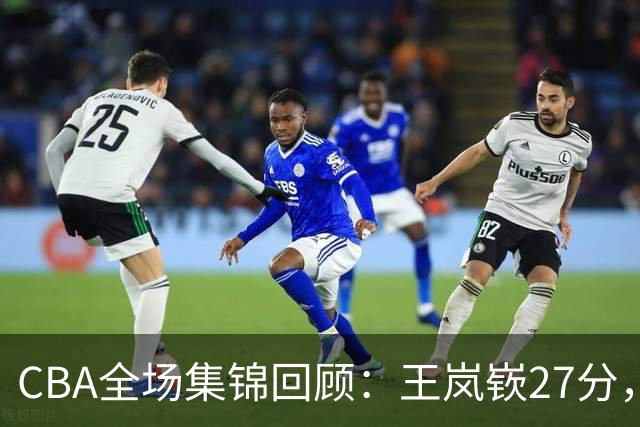 CBA全场集锦回顾：王岚嵚27分，山东大胜南京